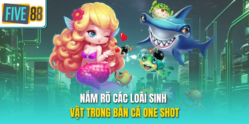 Nắm rõ các loài sinh vật trong bắn cá One Shot